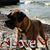 Nancy Giuliano's profile image