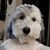 Nick Elbode's profile image