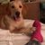 Teresa Ann Gallegos's profile image