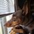Sharon A Sparks Lennox's profile image