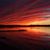Paula Gorrell's profile image