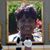 Sylvia Clabon's profile image