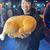 Vee Veemon Lor's profile image