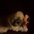 April Alatorre's profile image