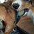 Christian Lamb's profile image