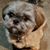 Georgene Boenzle's profile image