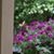 Patricia Reed Irwin's profile image
