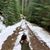 Samantha Furrer's profile image