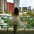 JoAnne Angel's profile image