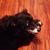JoAnn Bourg's profile image