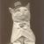 Steven Folstein's profile image