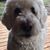Eileen Clark-Hahn's profile image