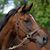 Tom Razzi's profile image