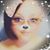 Trista Wolf's profile image