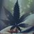 Barbara Passmore Johnson's profile image