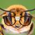 David Cunningham's profile image