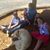 Debbie Rogers Lawson's profile image