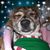 Cassie Smith's profile image