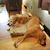 Mary Jo Carrow's profile image