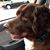 Marilyn Spaziano's profile image