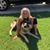 Amy Coulter Smale's profile image