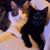 Kathy Houser's profile image