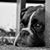 Jenny Harty's profile image