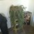 Linda Scott Bush's profile image