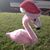 Sharron Leach Cearing's profile image