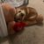 Corina Ortiz Luevano's profile image