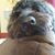 Susan Curtis's profile image