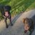 Kelly Dakin-Sabo's profile image