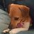 Cindy Blum Schneider's profile image