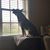 Danny Lynn Daniels's profile image