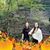 Carolyn O'Keefe Kimmey's profile image