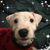 Kimberly Ilyes Hynak's profile image
