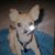 Monica Bies's profile image