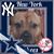 Deb Meetze's profile image