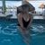 Eva Moreno's profile image