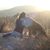 Stacey Zipfel Flannery's profile image