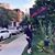 Blanca E. Iracheta's profile image