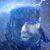 Jose Luis Bernal's profile image