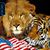 Tracy Latunski's profile image