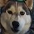 April Espinoza's profile image
