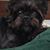 Joan Smith's profile image