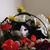 Sheri Grow's profile image