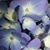 Pam Myers-Page's profile image