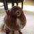Ronnie Kamps's profile image