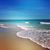 Karyn Tait Bossert's profile image