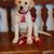Bettye Tabain's profile image